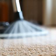 Carpet cleaning in progress